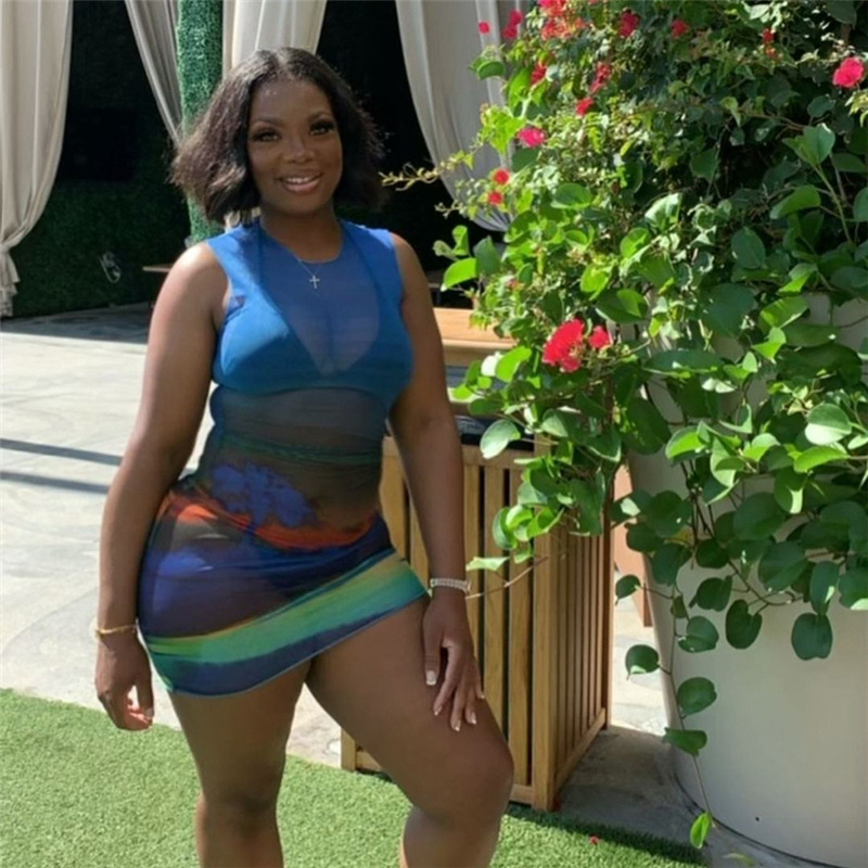 Fashion Gauze Sleeveless Slim Women's Dress