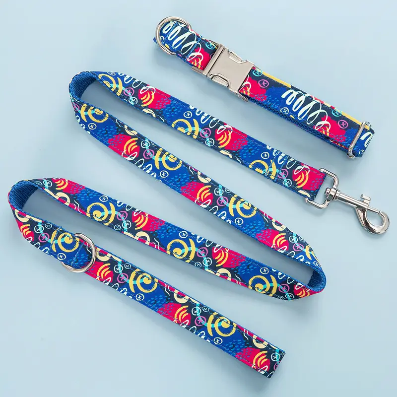 Graffiti Pet Collar Leash Set