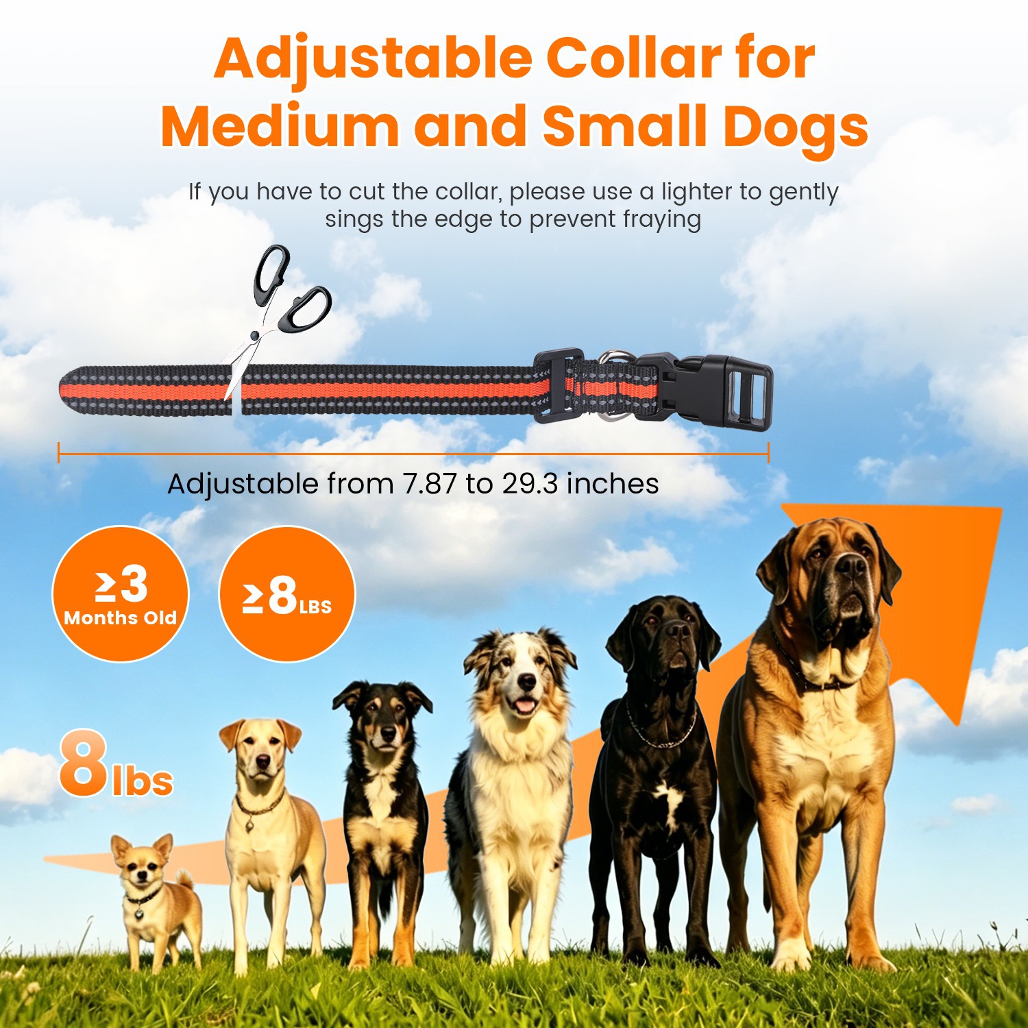 2 In 1 Wireless Dog Fence System With Training Collar Invisible Dog Fence IP68 Waterproof With 722FT Adjustable Range Beep Vibration Static Shock — foto 13