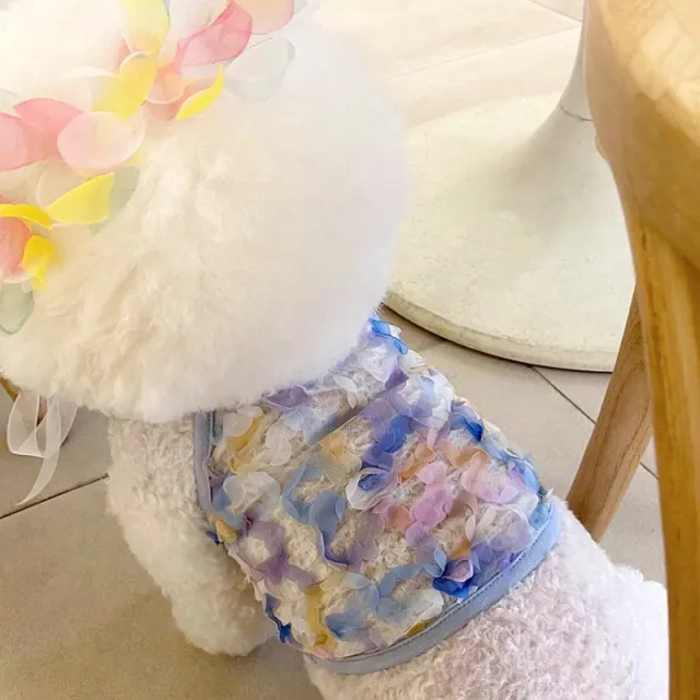 Pet Summer Thin Fairy Petal Sling Blue - Shop at LoveMi