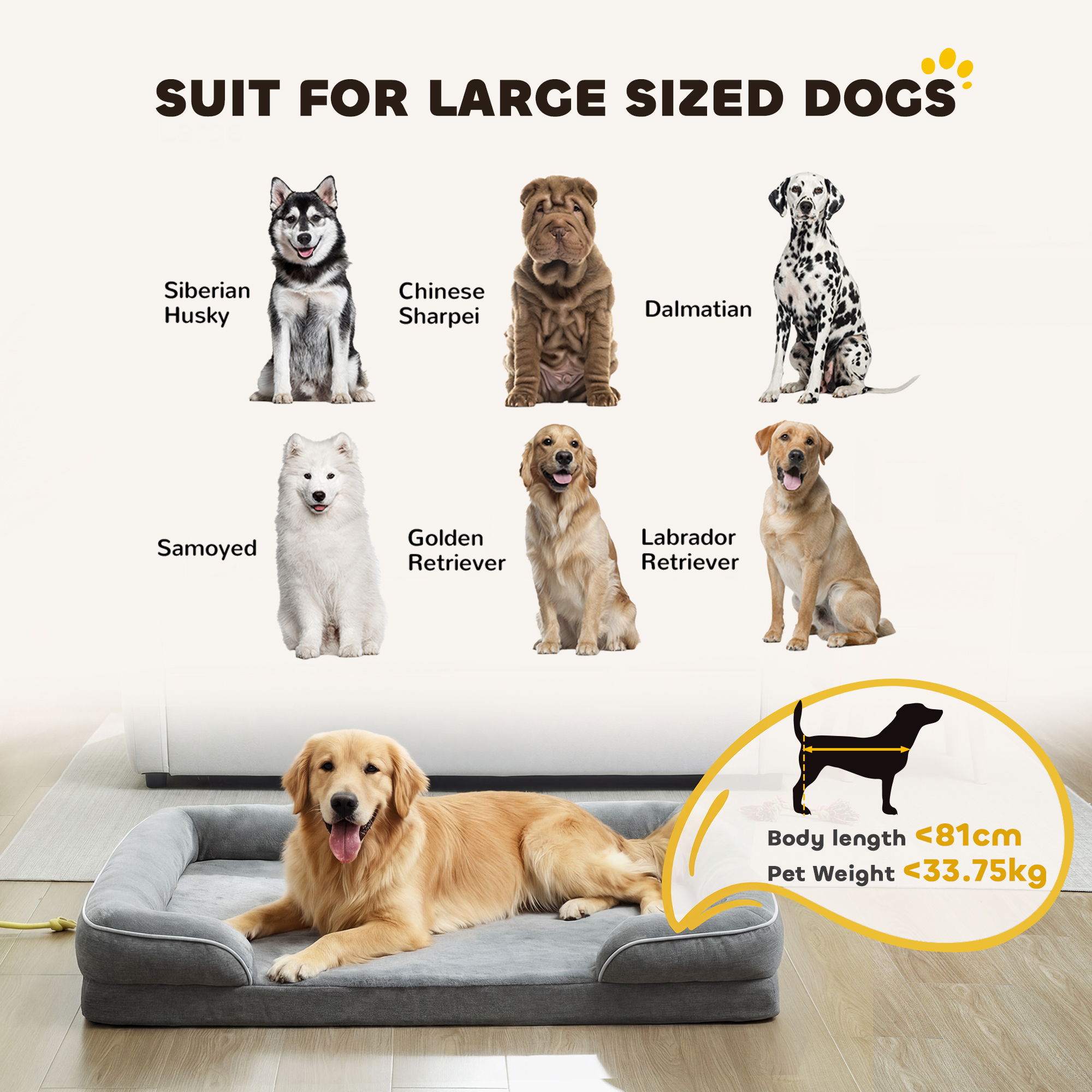 Dog Sofa Bed, Detachable Machine Wash Pet With Non Slip Bottom, Suitable — image 5