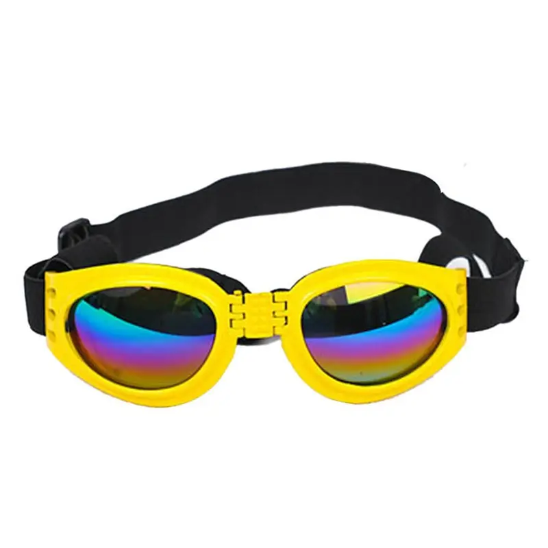 Pet Dog, Cat, Sunglasses, Glasses, Sun Big