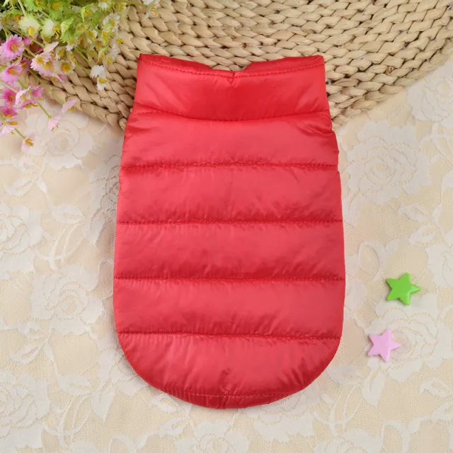Small Dog Teddy Autumn Autumn Winter Cat Thermal Padded Coat Red - Shop at LoveMi