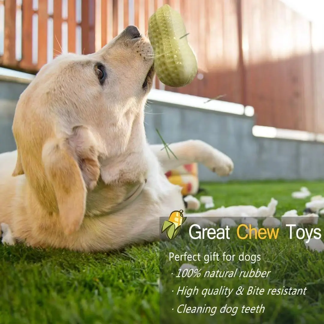 Funny Pet Dog Squeaky Toys For Small Middle Dogs Bite Resistant Puppy Cat Dogs Toys Pets Rubber Peanut Clean Tooth Chew Toy – image 6
