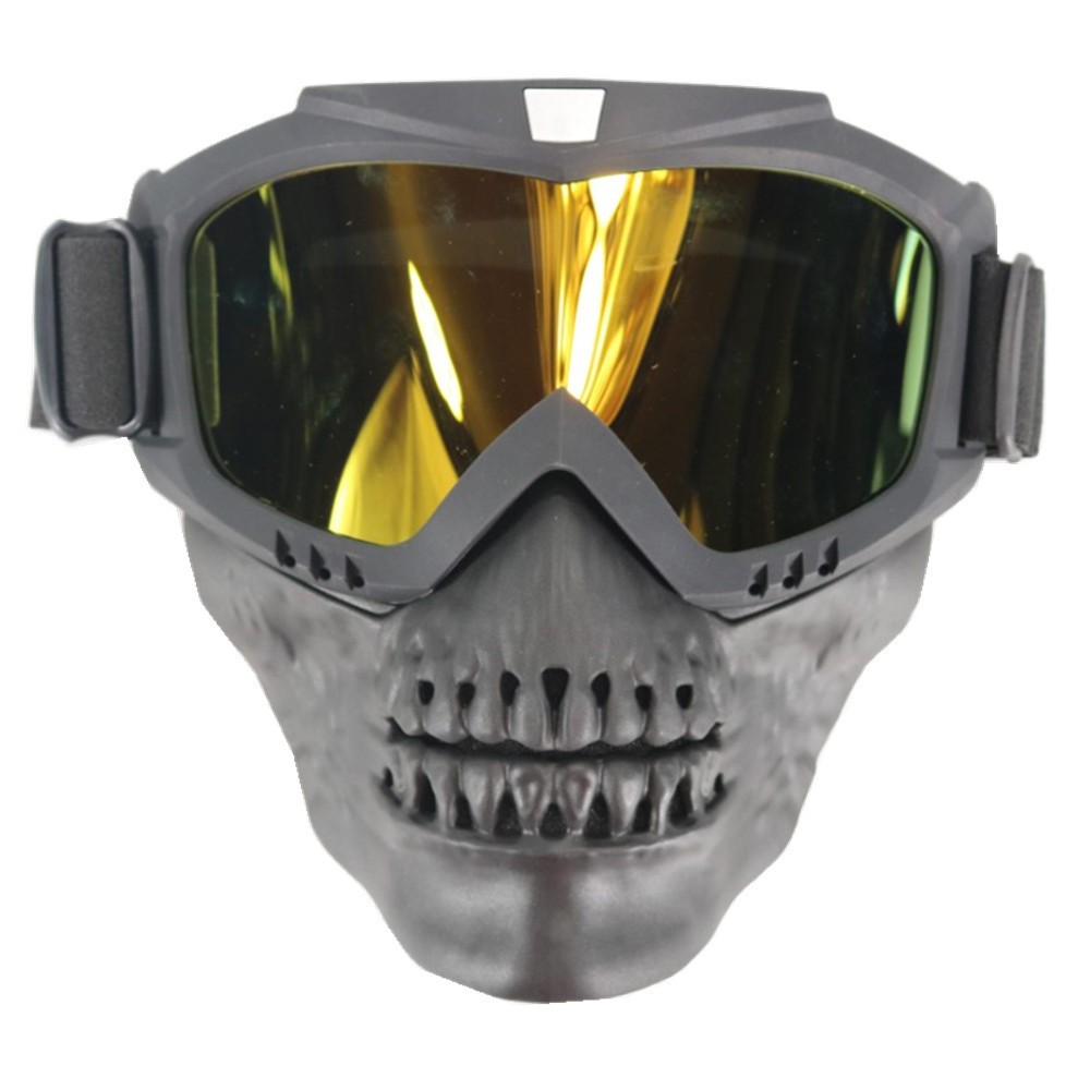 Title 2, American full face anti-impact tactical skull mask