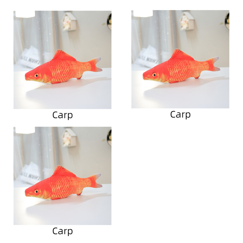 Carp 3pcs