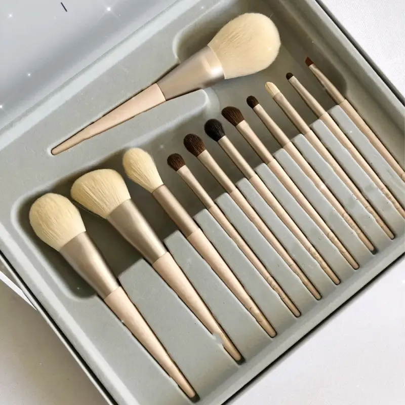 Set of 12 Makeup Brushes