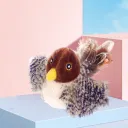 Little Bird