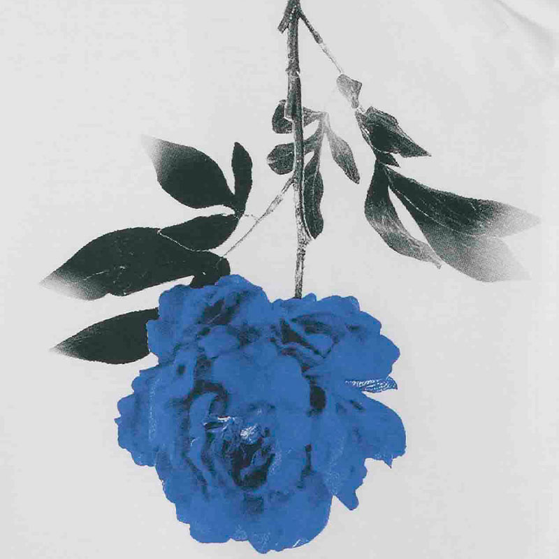 Tricolor Rose Classic Quotes T-Shirt Short Sleeve