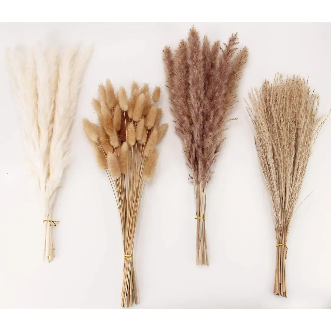 Grass Decor 100 Stems Pampas Contains Bunny