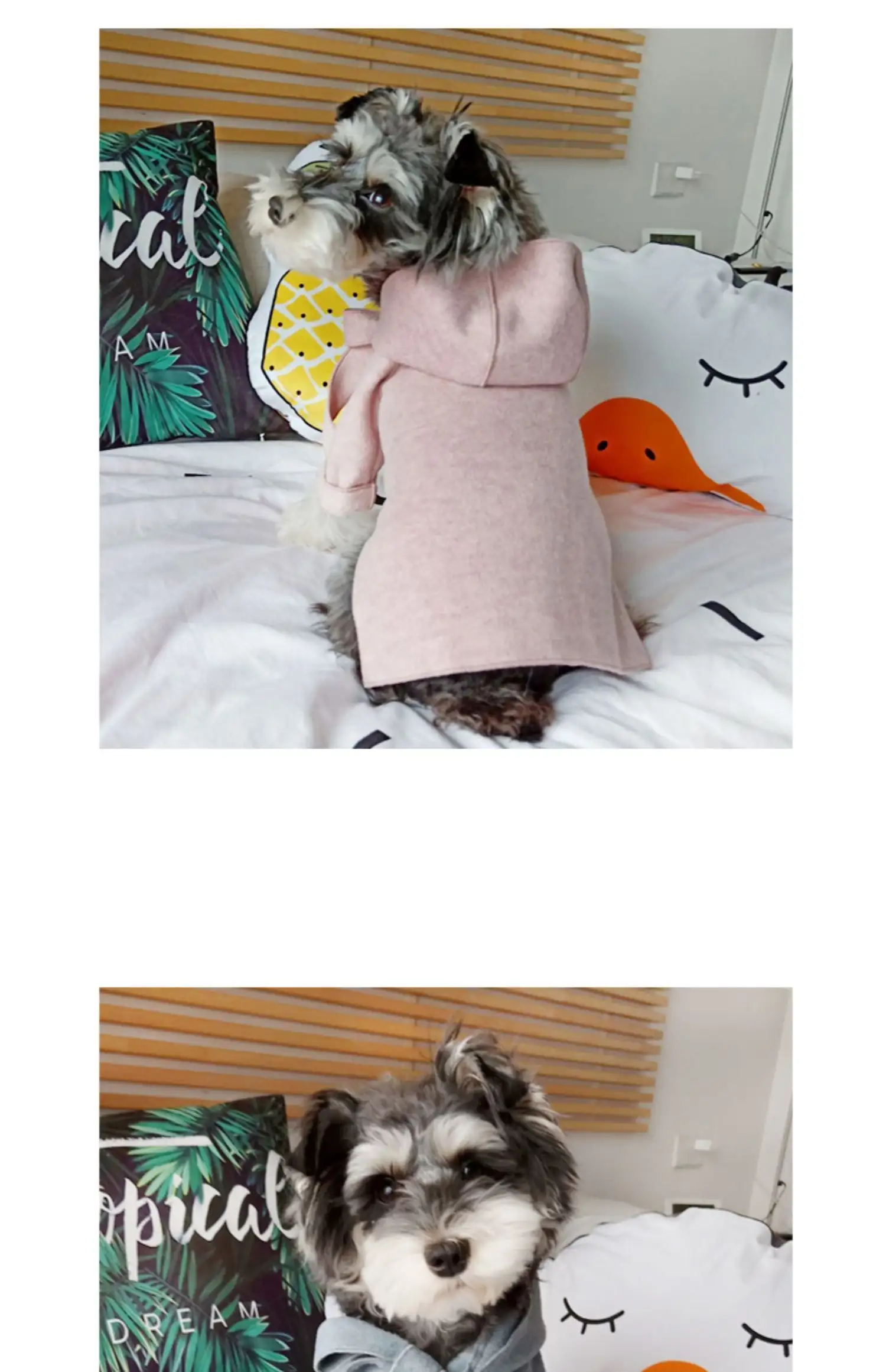 Bichon Shiba Inu Teddy Clothes Puppy Cat Fall Winter