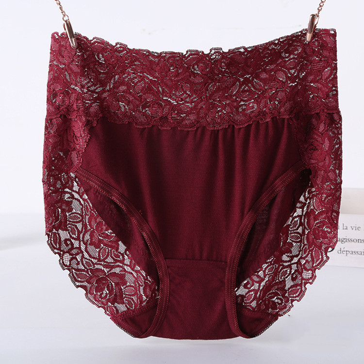 Title 5, Plus Size Modal Lace Panties Women