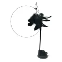 Black Feather