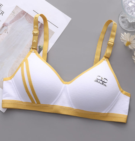 Title 5, Japanese Style Small Chest Push Up Bra