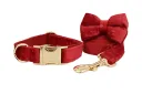 Dog Circle Dog Rope Bow4