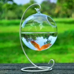Hanging Glass Vase Fish Tank - Glass Ball23 White Bracket - View 1