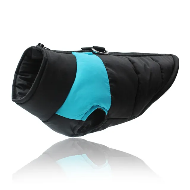 Teddy Fight Pet Dog Cotton Clothes Blue - Shop at LoveMi