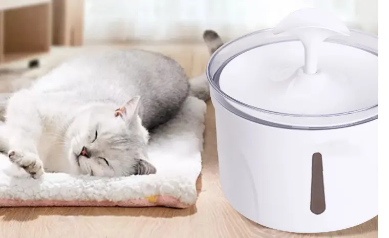 Pet Water Dispenser Intelligent Automatic Circulating Filter