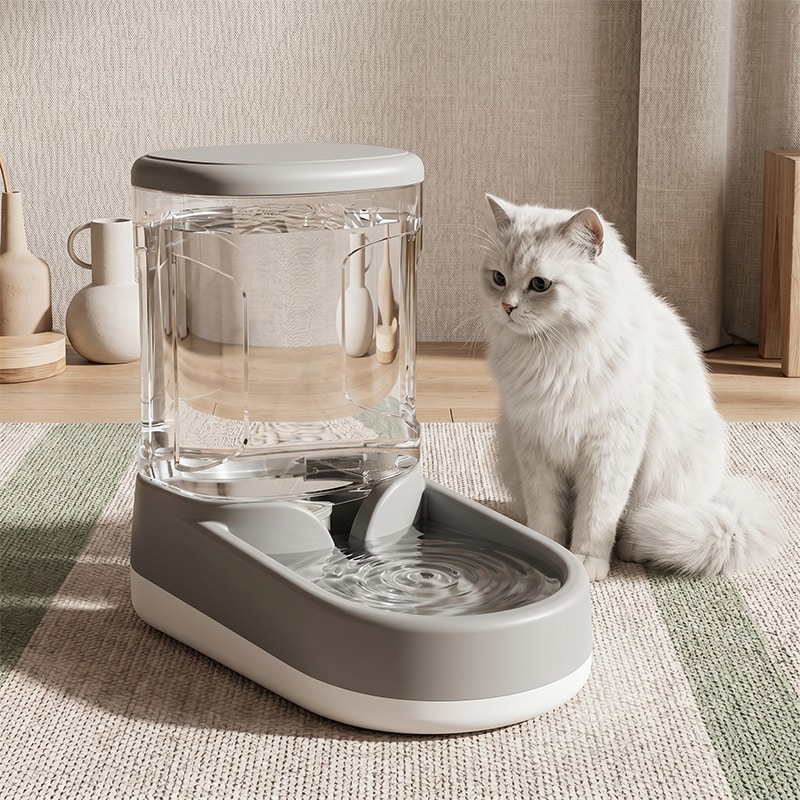 Bowls & Feeders