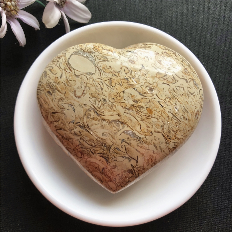 Dinosaur bone fossil love ornament