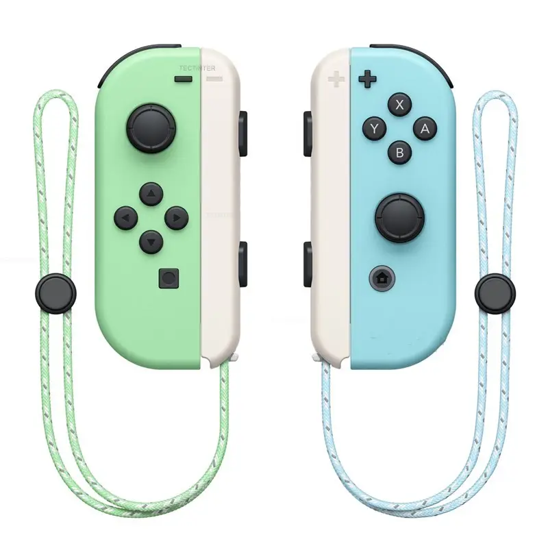 Console Gamepad NS Dual