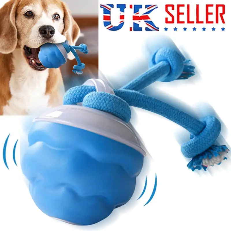 The Chase Buddy Dog Boredom Stimulating Toy