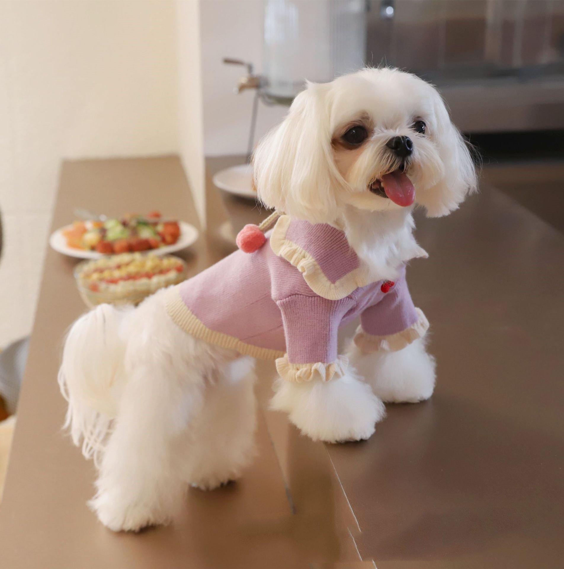 Handmade Strawberry Ball Wool Coat Dog To Keep Warm