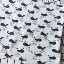 Canvas Whale