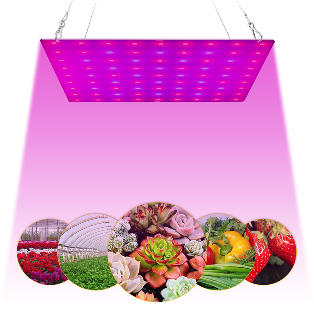 LED Grow Light Kit Full Spectrum Hydroponic Red Blue Lamp Indoor Plants UK Plug — image 6