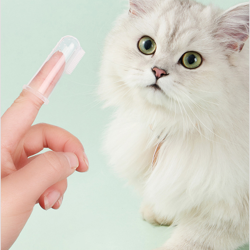 Pet Oral Hygiene Kit with Brushes, Toothpaste, and Flavors including a dual-sided toothbrush, long handle design, soft bristles, fingerbrush, and poultry-flavored toothpaste.