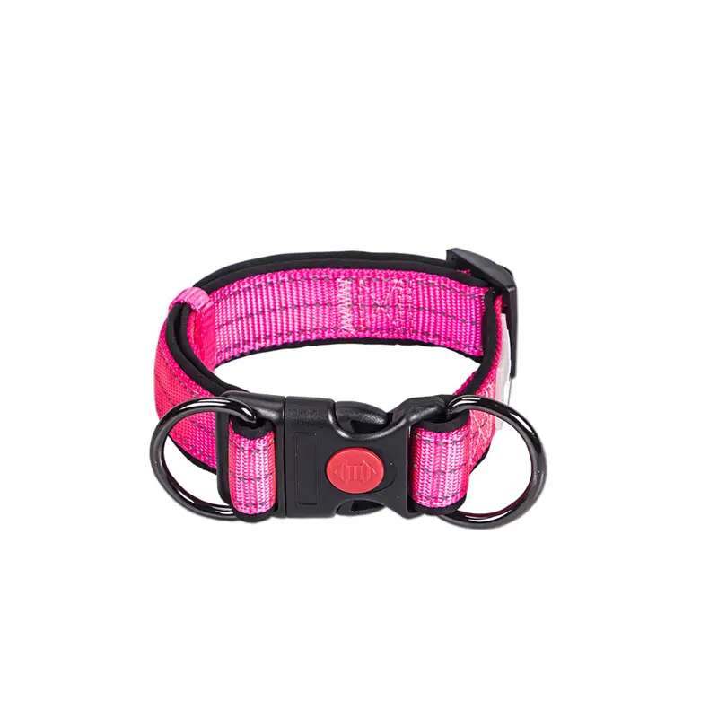 Collared Dog Small Dog Medium And Large Leash