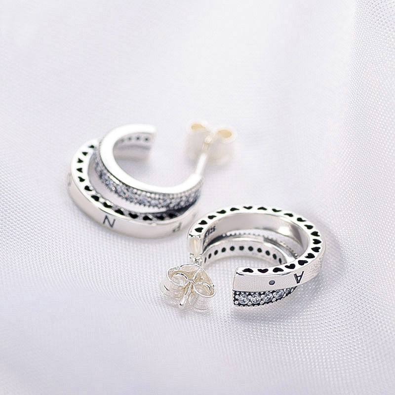 Frosty Wind Zircon Double Ring Female Stud Earrings