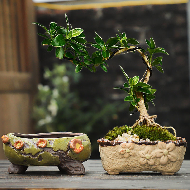 Ceramic Combination Planter Pot
