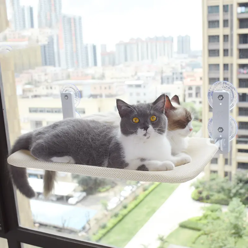 Cat Suction Cup Window Glass Hammock Pet