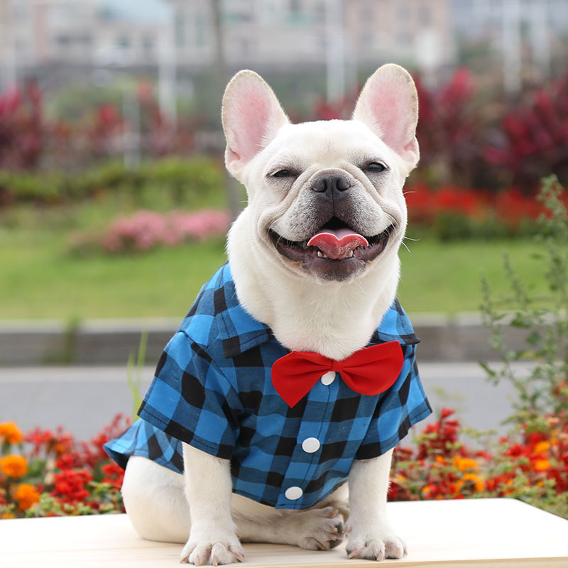 Title 2, Dog Plaid Shirt Suit Wedding Dress Method Fight...