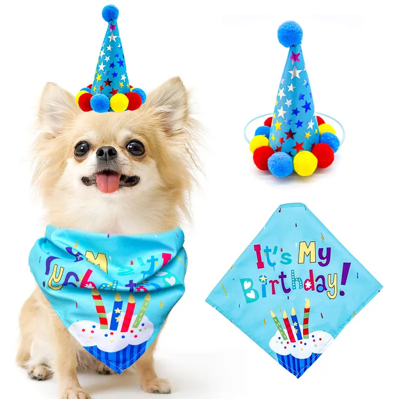 Pet Dog and Cat First Birthday Party Triangle