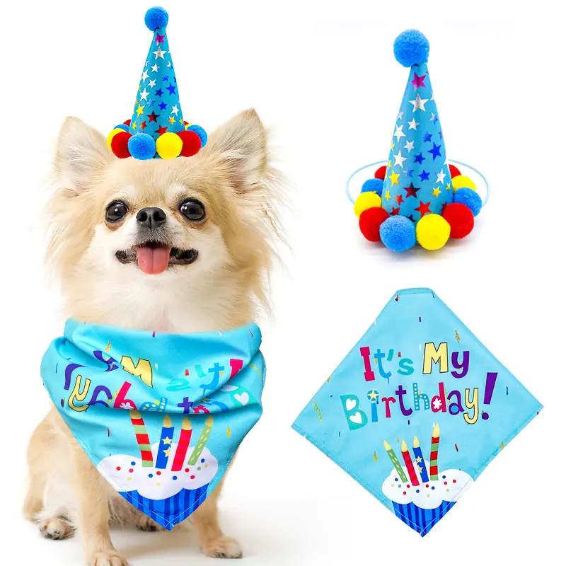 Pet Dog And Cat First Birthday Party