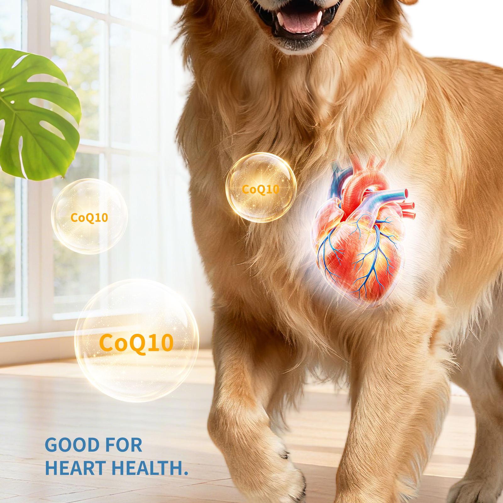 Only Self Pickup---Various Multivitamins For Dogs — foto 11