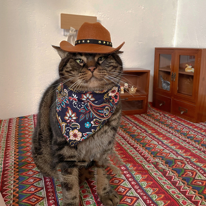 Star hat navy blue scarf