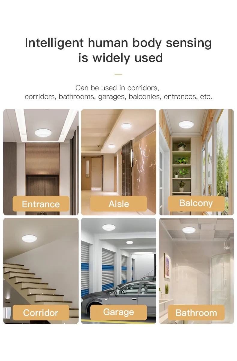 Human Induction Ceiling Lamp Infrared Garage Cloakroom