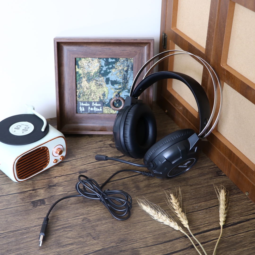 Wired Headphones For Computer 35