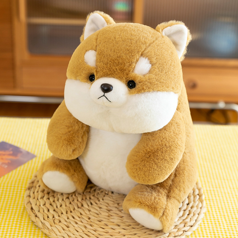 Shiba Inu