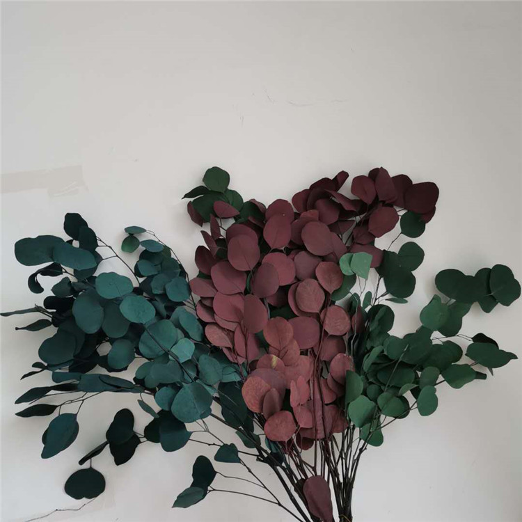 Immortal Leaf Home Decoration Shooting Props