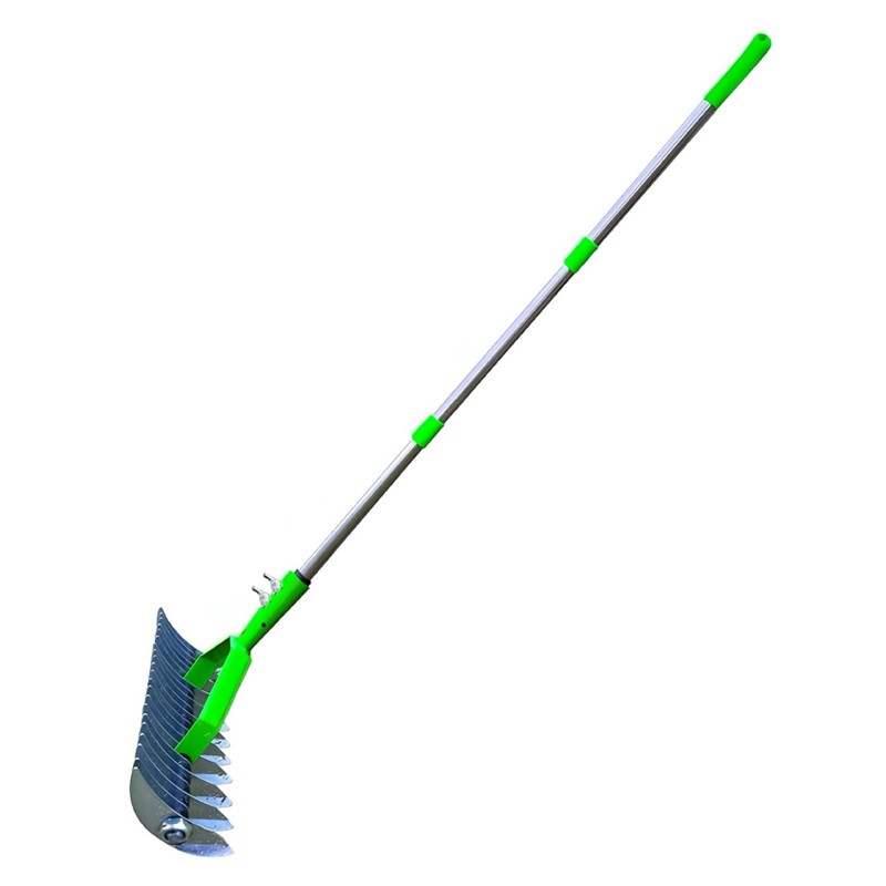 Curved teeth thatch rake head showing stainless steel tines