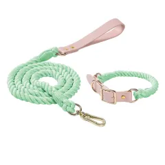 Rainbow Traction Rope Collar Adjustable Medium And Large Dog Outing Chain - Mint Green - View 1