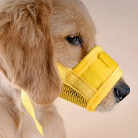 Adjustable Mask for Pets Without Biting