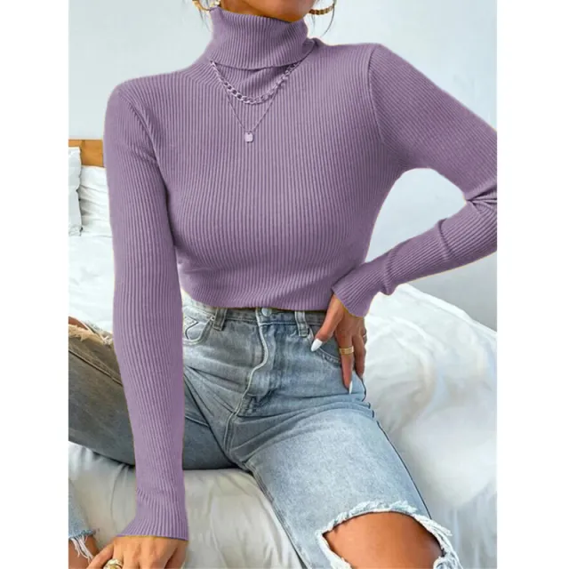 New European And American Women's High Neck Sweater Pullover Knitted Top Purple - Shop at LoveMi