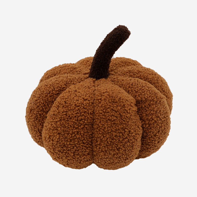 Chestnut pumpkin