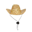 Straw Cowboy Hat