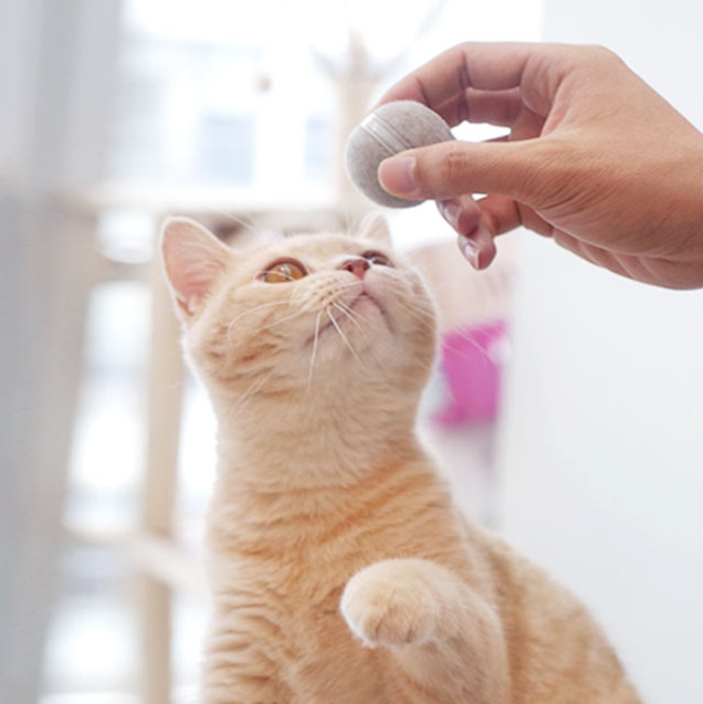 Intelligent Tickle Cat Toy Pet Toy Nibble